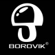 BOROVIK