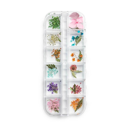 Сухоцветы в контейнере №2 (12 цветов)