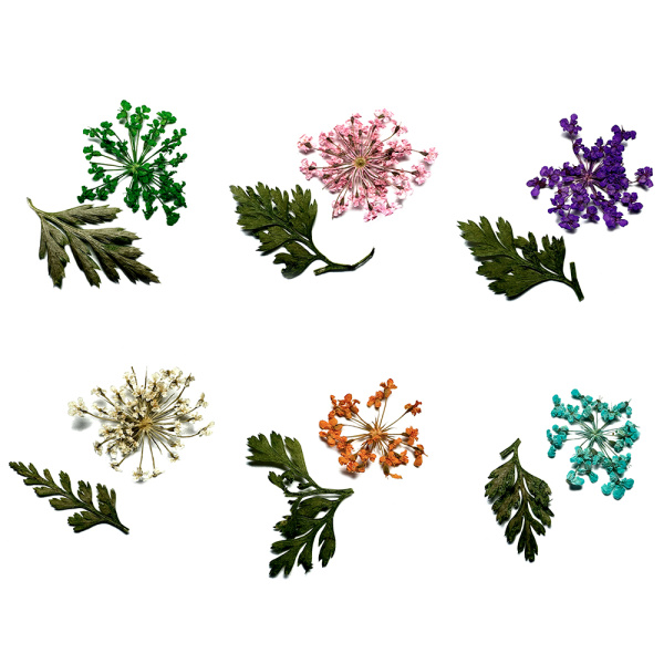 Сухоцветы в контейнере №2 (12 цветов)