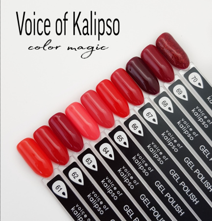 Voice of Kalipso, Гель-лак № 66, 10 мл