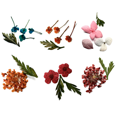 Сухоцветы в контейнере №2 (12 цветов)